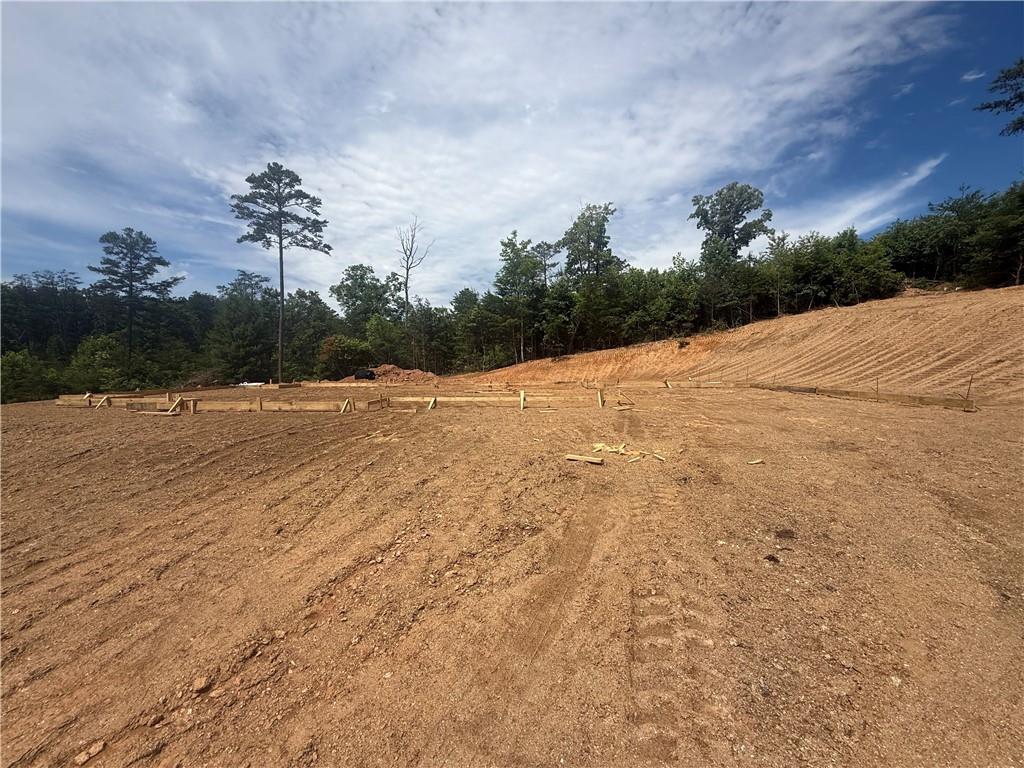 2 Mountain Road Morganton, GA 30560 - Photo 4 of 22