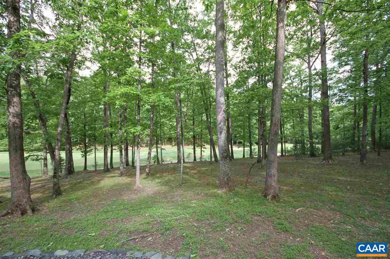 52 Oak Grove Road Palmyra, VA 22963 - Photo 44 of 46 a view of outdoor space with green field and trees