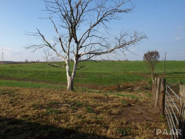 7327 Sparrow Road Hopedale, IL 61747 - Photo 15 of 30