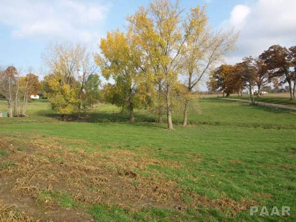 7327 Sparrow Road Hopedale, IL 61747 - Photo 17 of 30