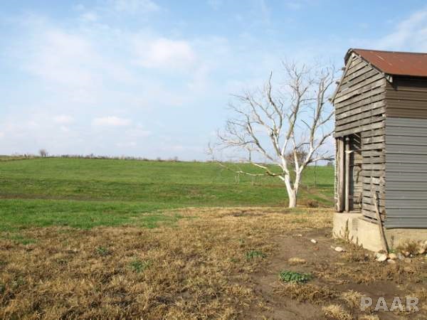 7327 Sparrow Road Hopedale, IL 61747 - Photo 19 of 30
