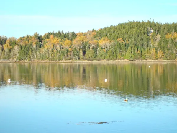 $299,000 | M26-l5 Deep Cove Lane, Islesboro, ME 04848