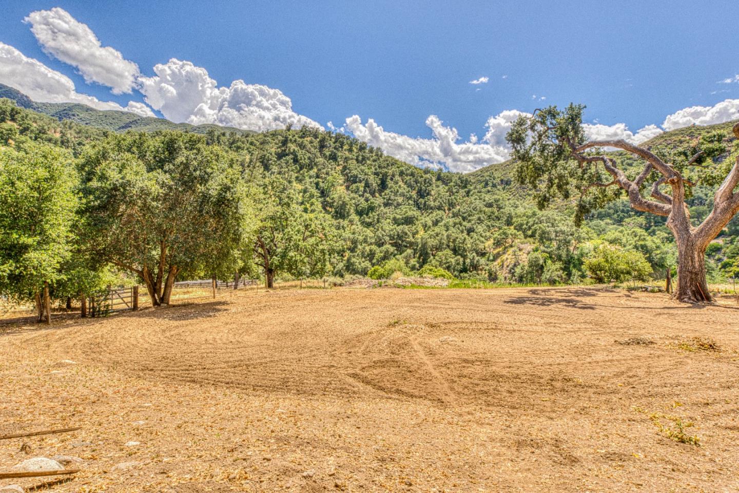 47317 Arroyo Seco Road Greenfield, CA 93927 - Photo 35 of 47 a view of a yard with a trees