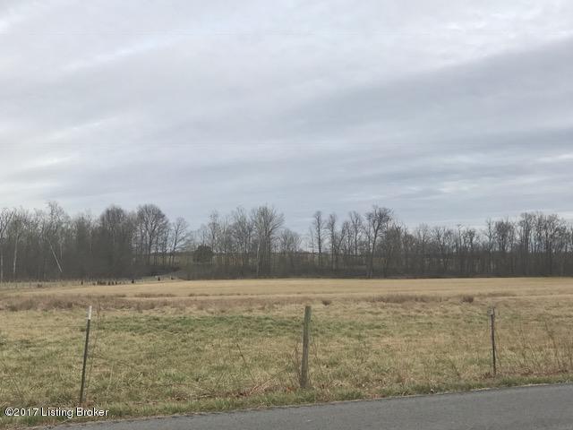 0 Salt River Road Rineyville, KY 40162 - Photo 2 of 5 IMG_2218 (002)
