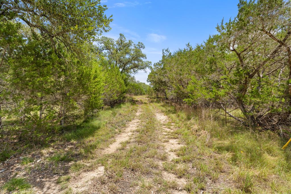 577 Rocky River Road, Unit 8 Blanco, TX 78606 - Photo 7 of 14 5.31 Acre Home Site