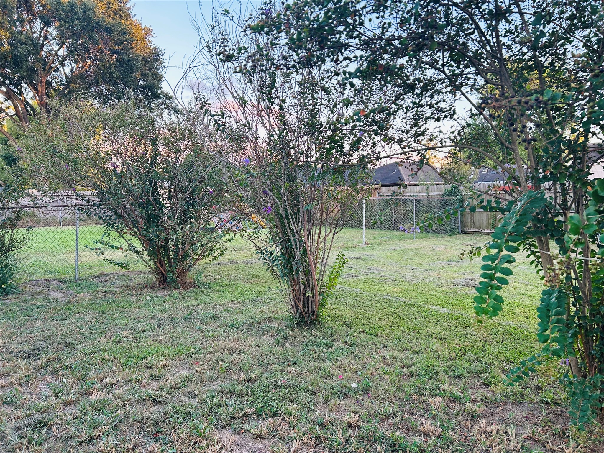 7619 Vernwood Street Houston, TX 77040 - Photo 24 of 25 a view of a tree in a yard