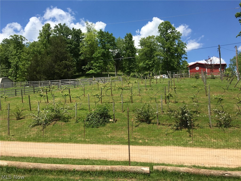 413 Laurel Road Spencer, WV 25276 - Photo 35 of 35