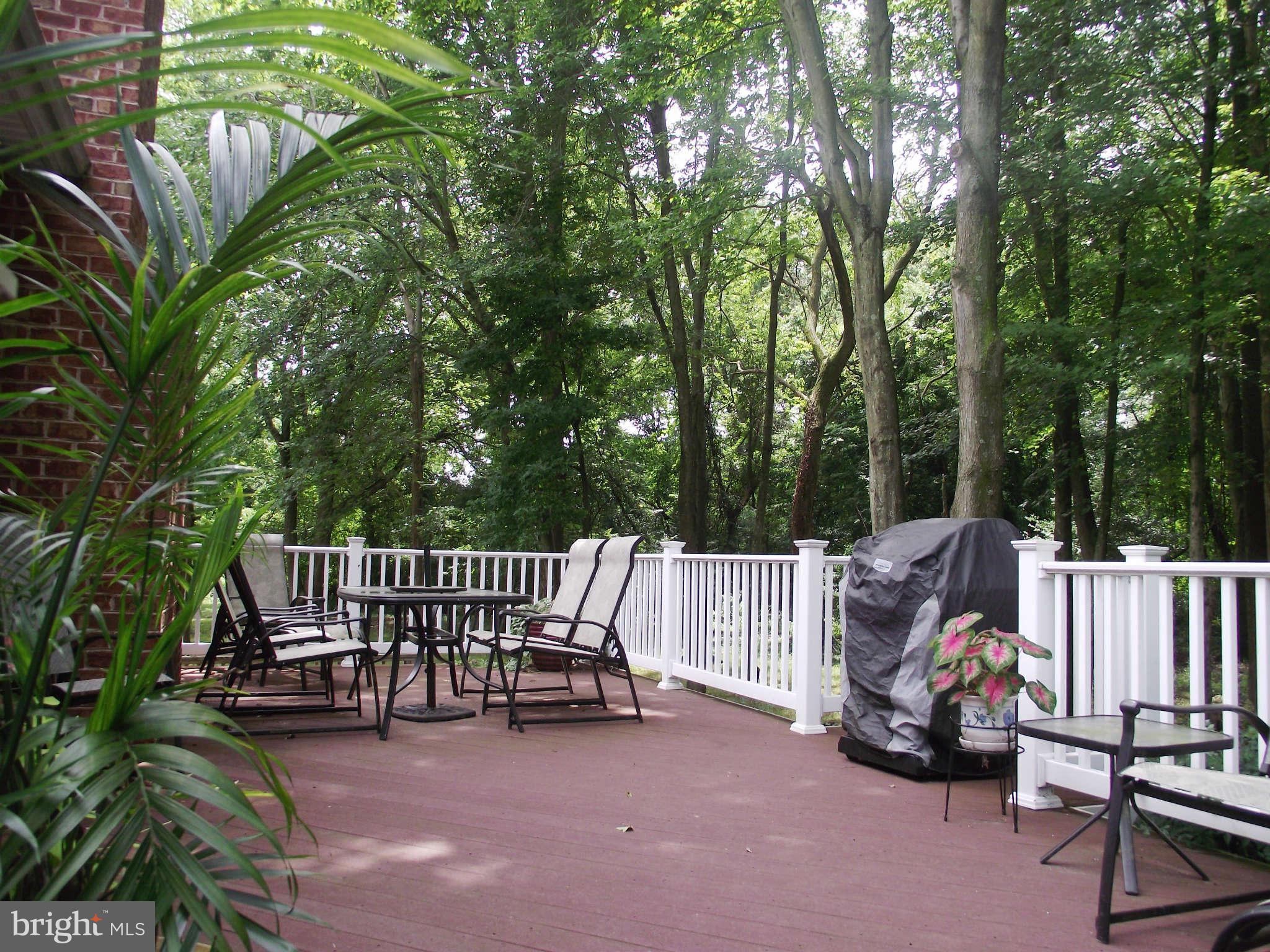 2003 Goose Neck Road Pasadena, MD 21122 - Photo 23 of 30 Exterior Rear