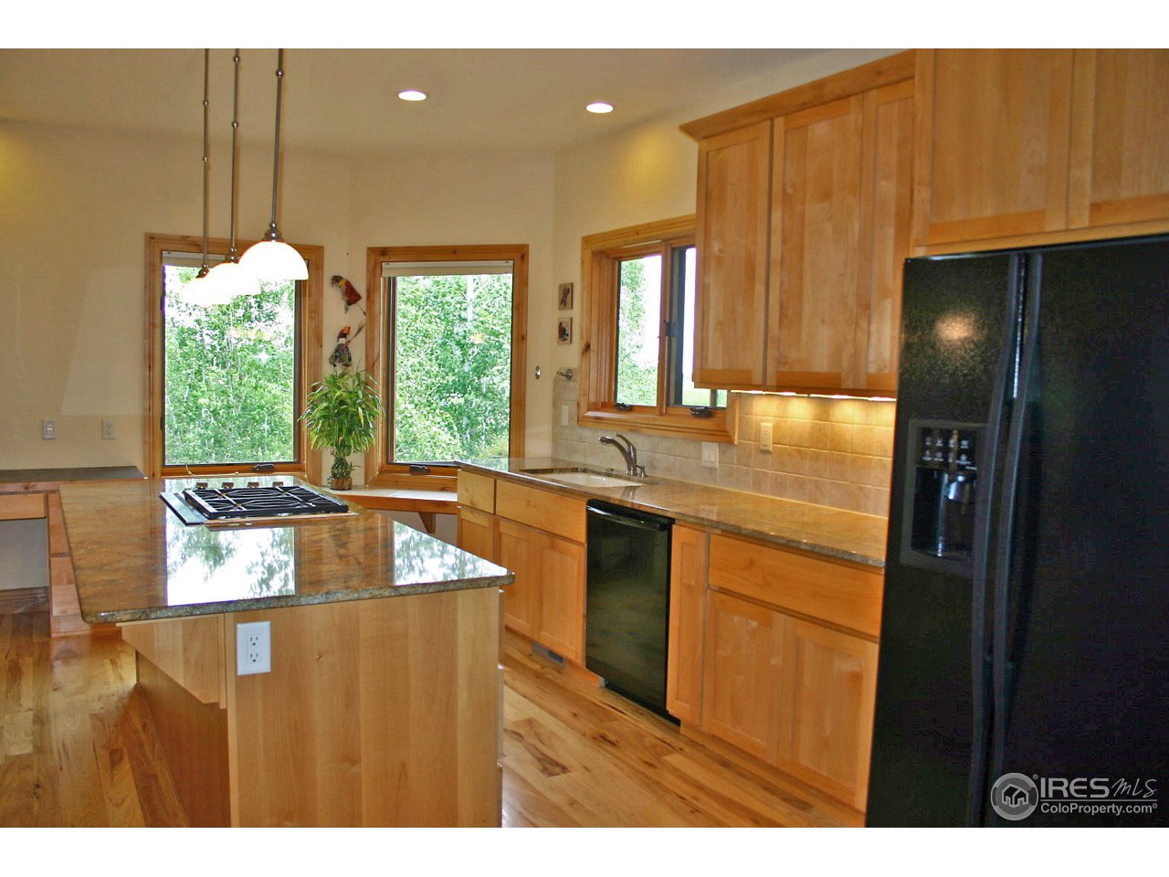 Gallery Image 7