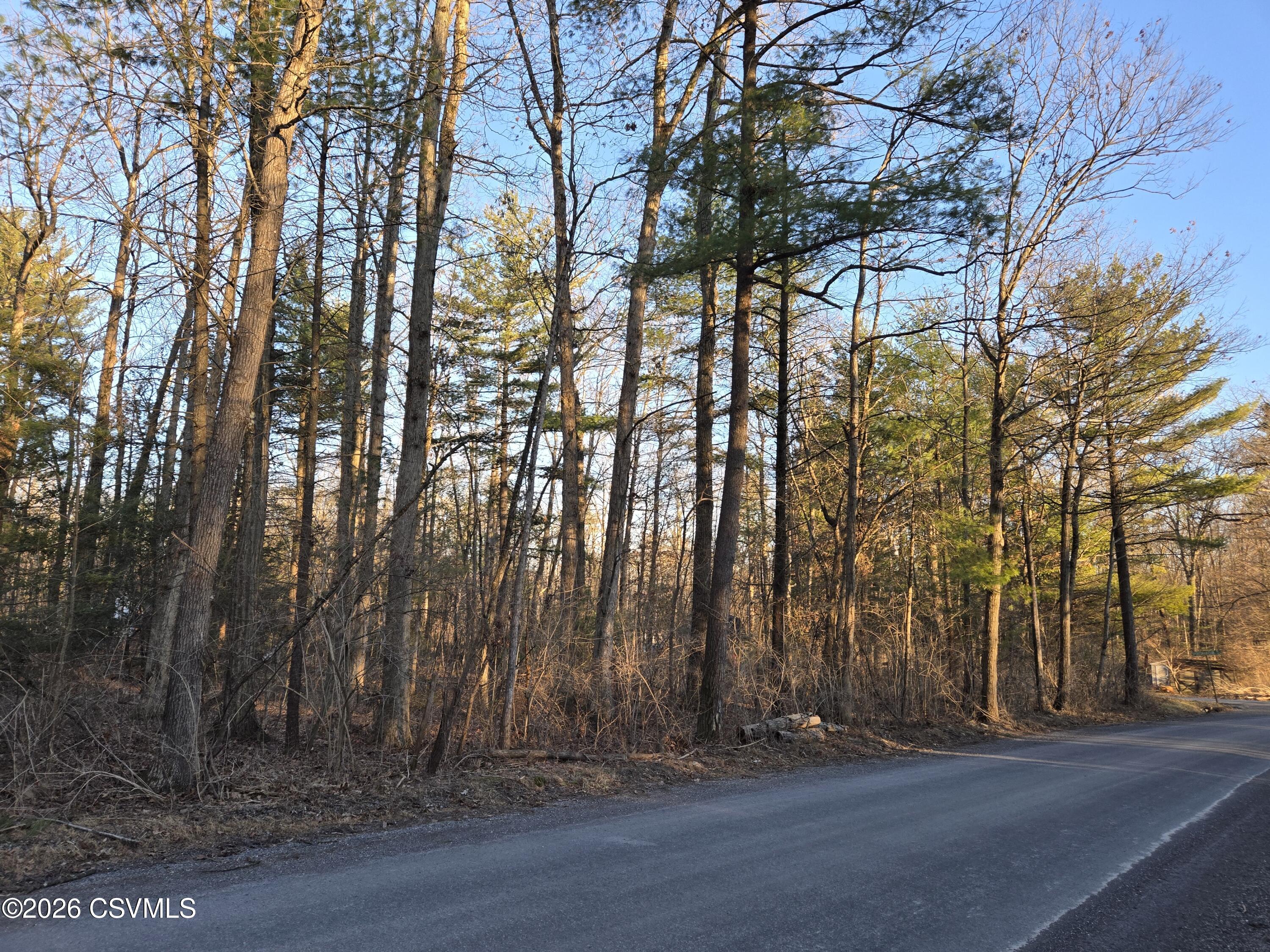 Lot 4 Diehl Road Mifflinburg, PA 17844 - Photo 1 of 10