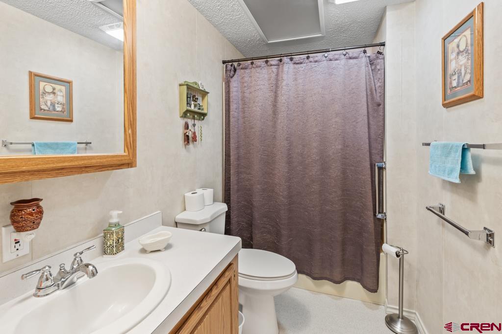7655 6075th Road Olathe, CO 81425 - Photo 16 of 24 a bathroom with a sink a toilet and shower curtain