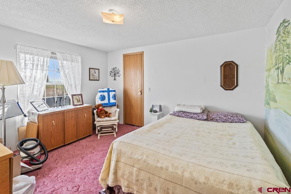 7655 6075th Road Olathe, CO 81425 - Photo 17 of 24 a bedroom with a bed and a window