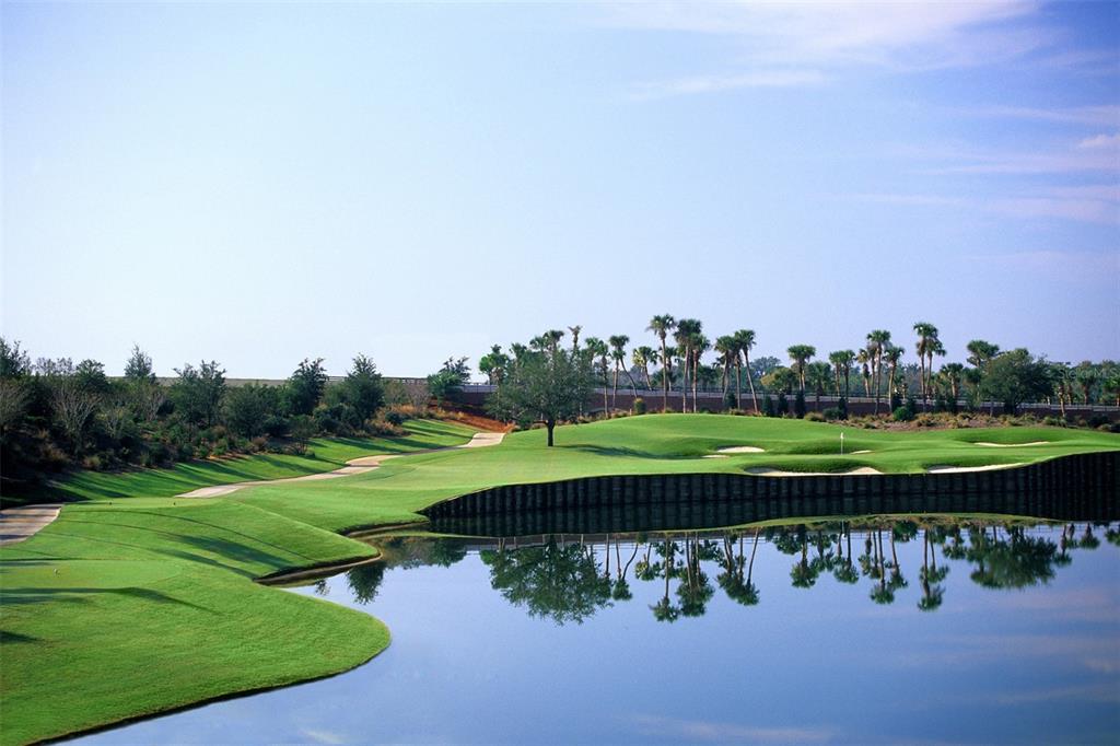 7905 Spectrum Drive Kissimmee, FL 34747 - Photo 2 of 12 a view of a lake with a big yard