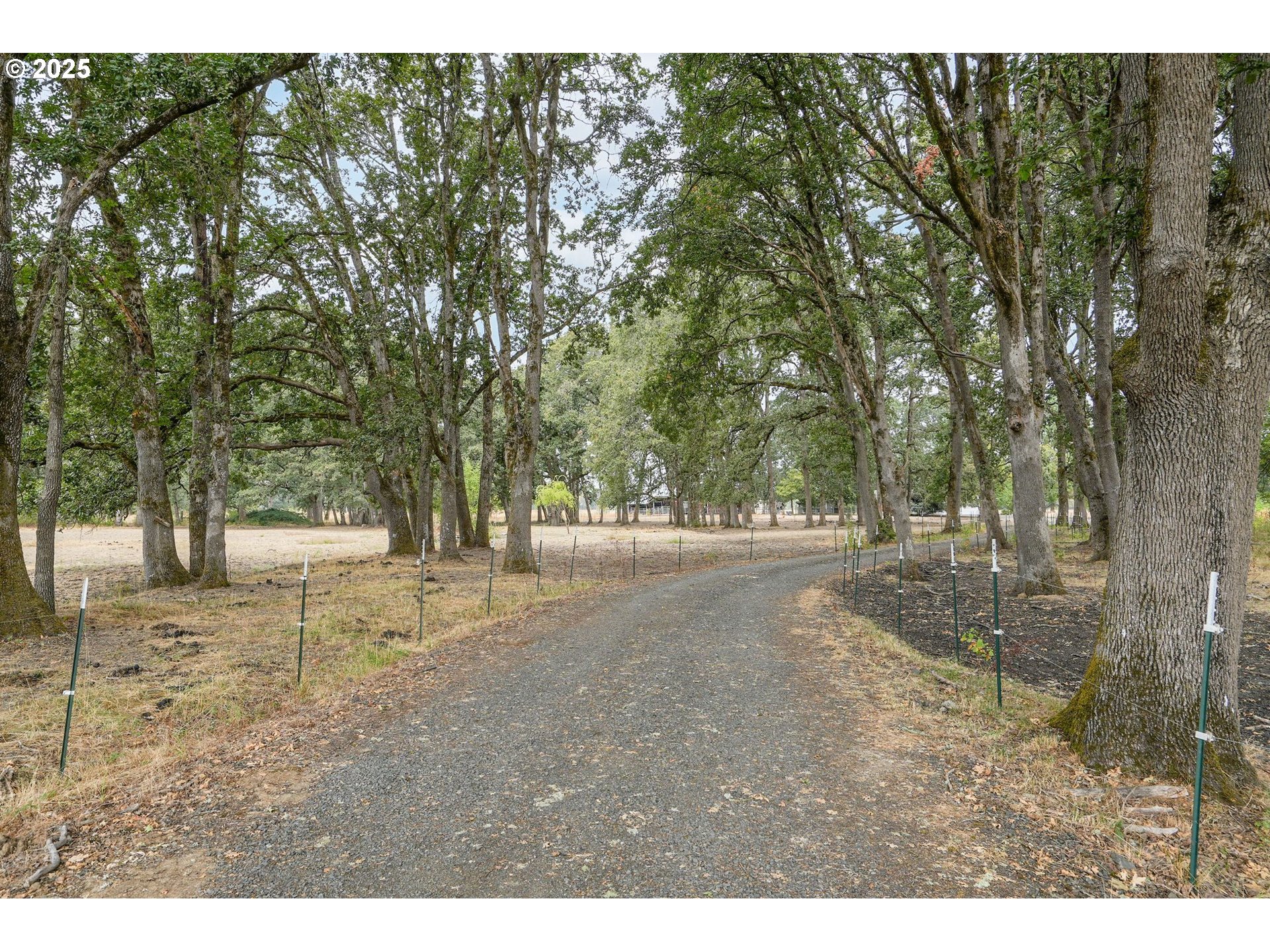 1780 Clover Ridge Road Northeast Albany, OR 97322 - Photo 6 of 45 a view of a yard with a tree