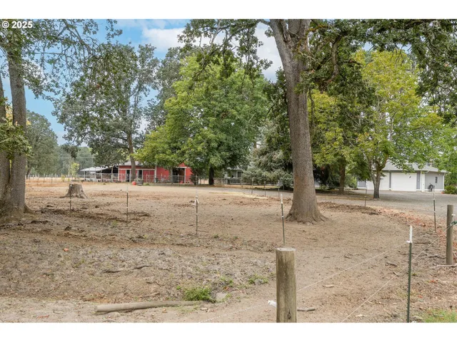 a view of road and trees