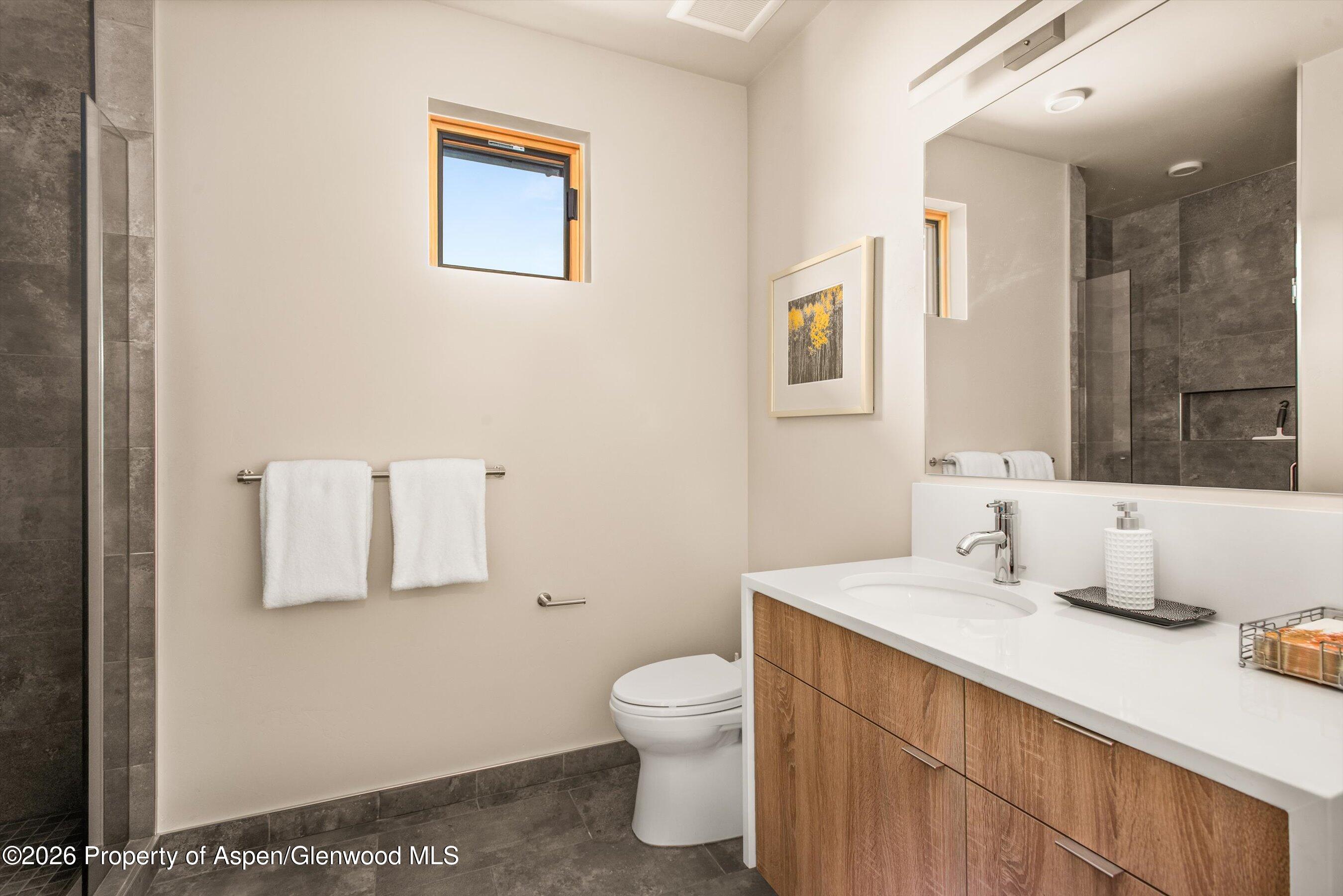 129 Valley Court Basalt, CO 81621 - Photo 25 of 26 a bathroom with a sink toilet and mirror