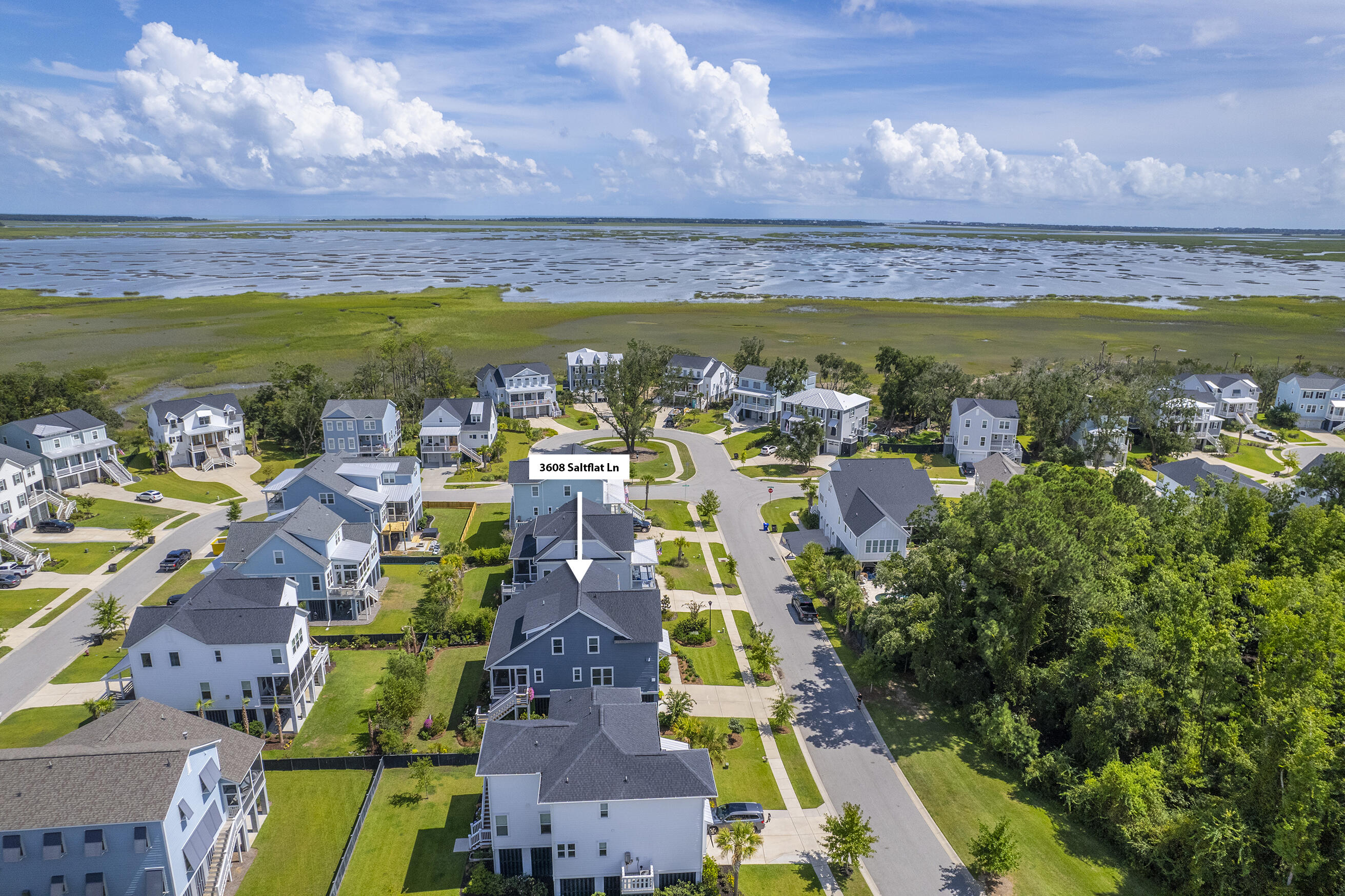3608 Saltflat Lane Mount Pleasant, SC 29466 - Photo 54 of 65 56