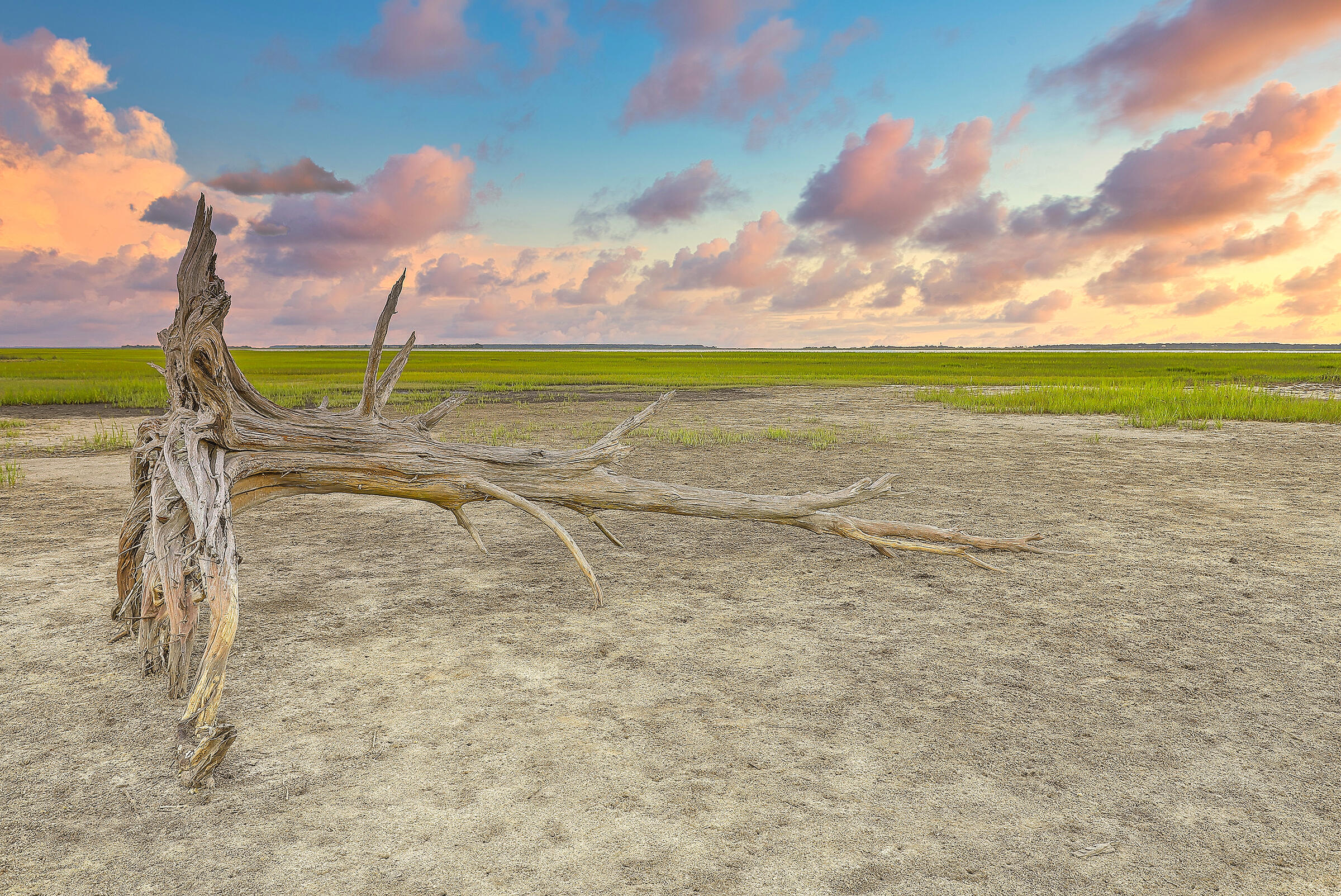 3608 Saltflat Lane Mount Pleasant, SC 29466 - Photo 64 of 65 66