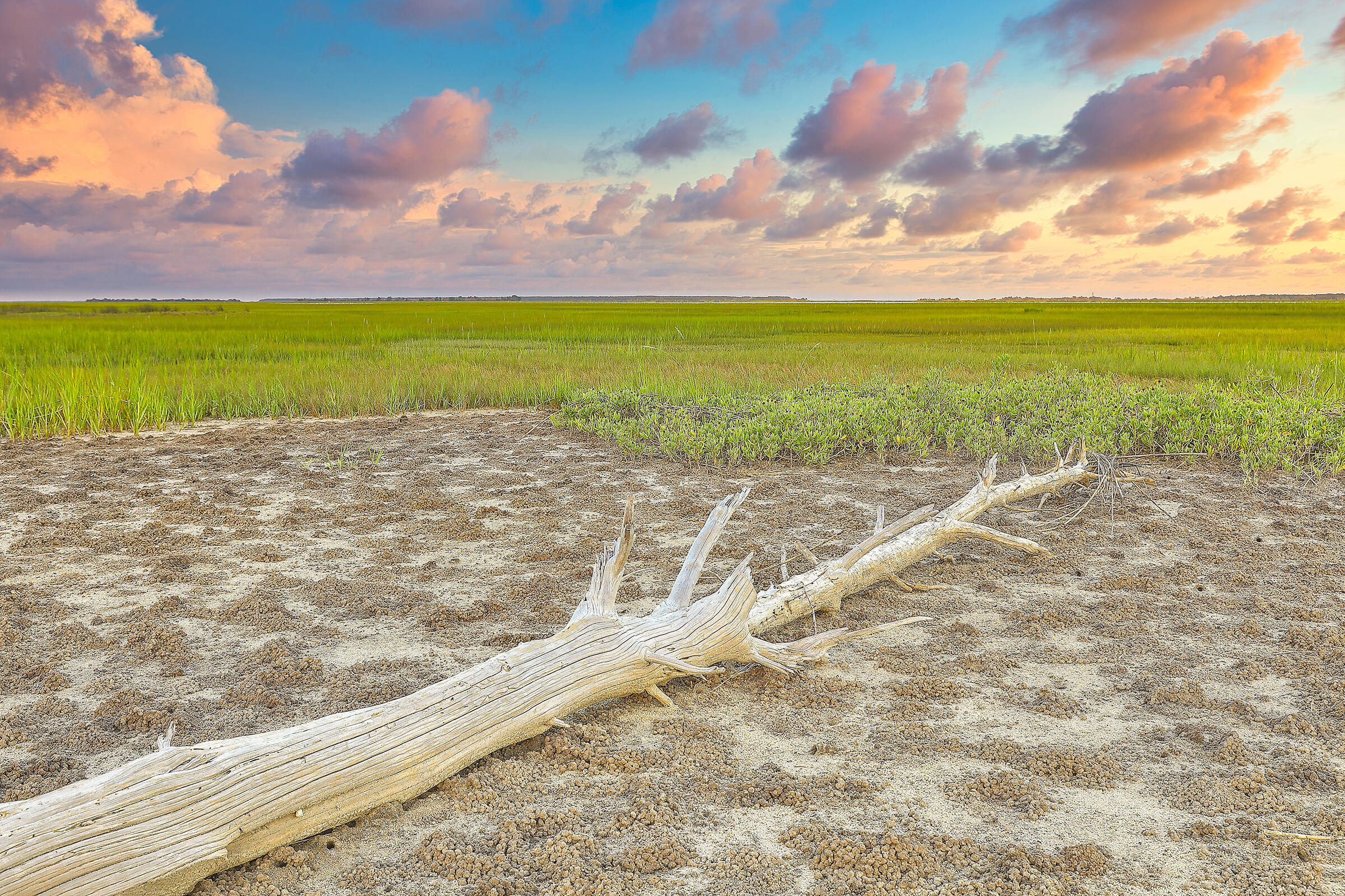 3608 Saltflat Lane Mount Pleasant, SC 29466 - Photo 65 of 65 67