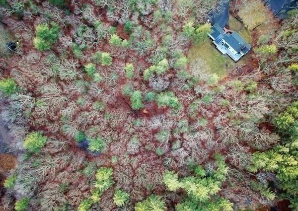 61 3 Ponds Road Wayland, MA 01778 - Photo 28 of 33 a bird view of location