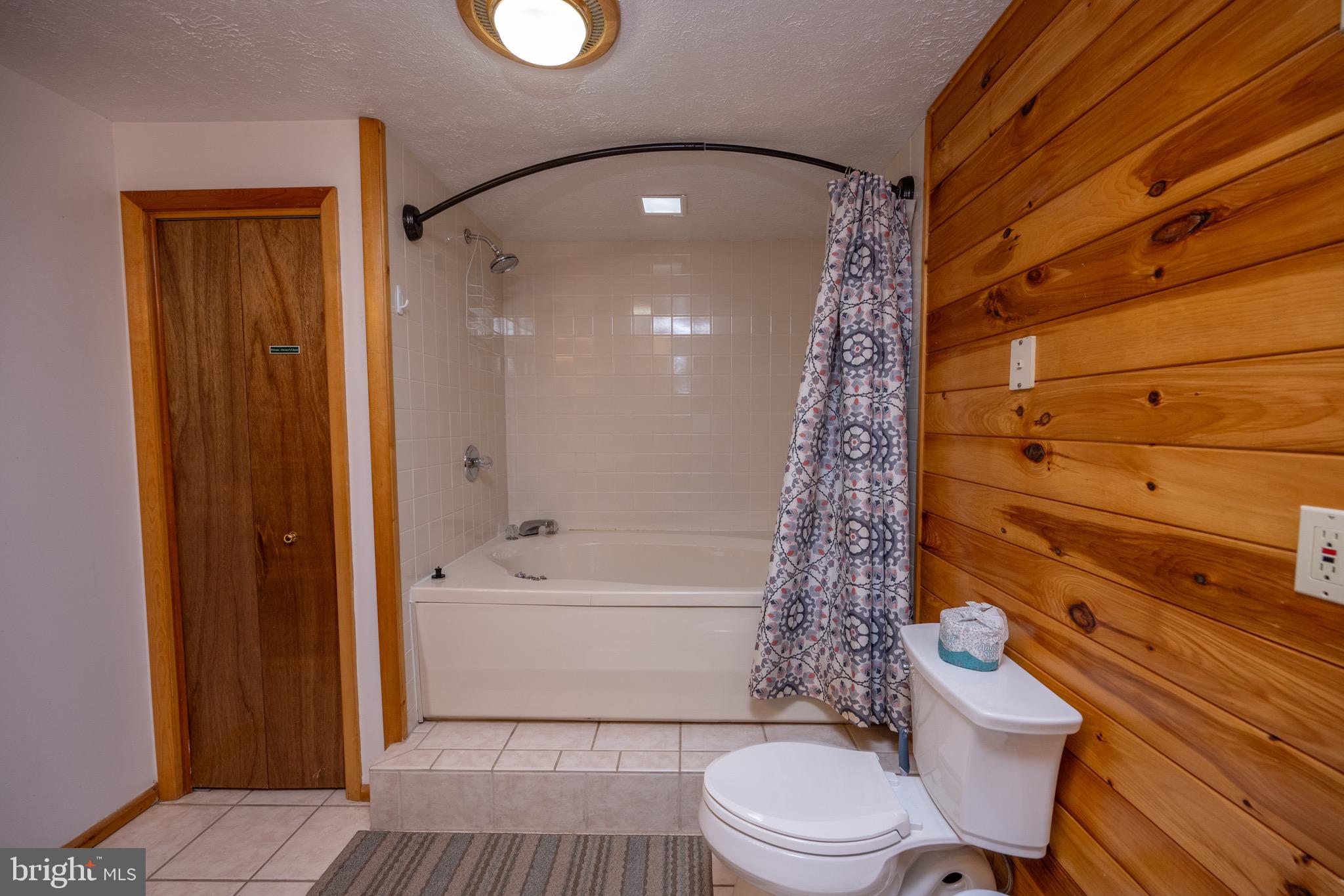 300 Normas Way McHenry, MD 21541 - Photo 35 of 48 a bathroom with a toilet a sink and bathtub