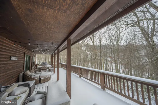 a view of a pathway of a house with large trees and plants