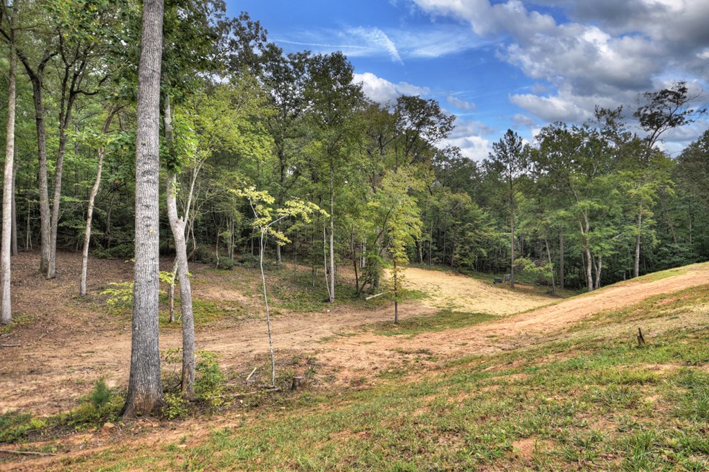 830 Turtle Ridge Road Ellijay, GA 30536 - Photo 46 of 84 Gallery Image 46