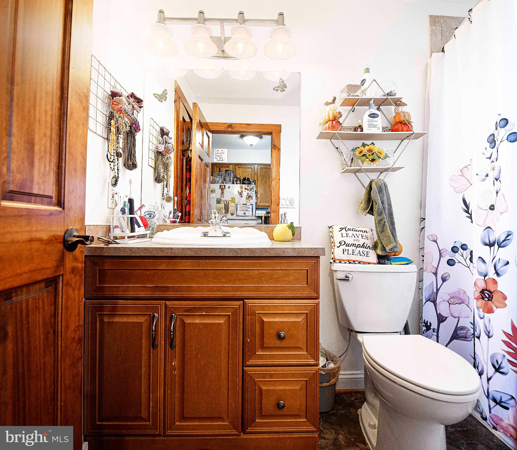 1537 South Rolling Road Halethorpe, MD 21227 - Photo 16 of 24 a bathroom with a sink a toilet and a mirror