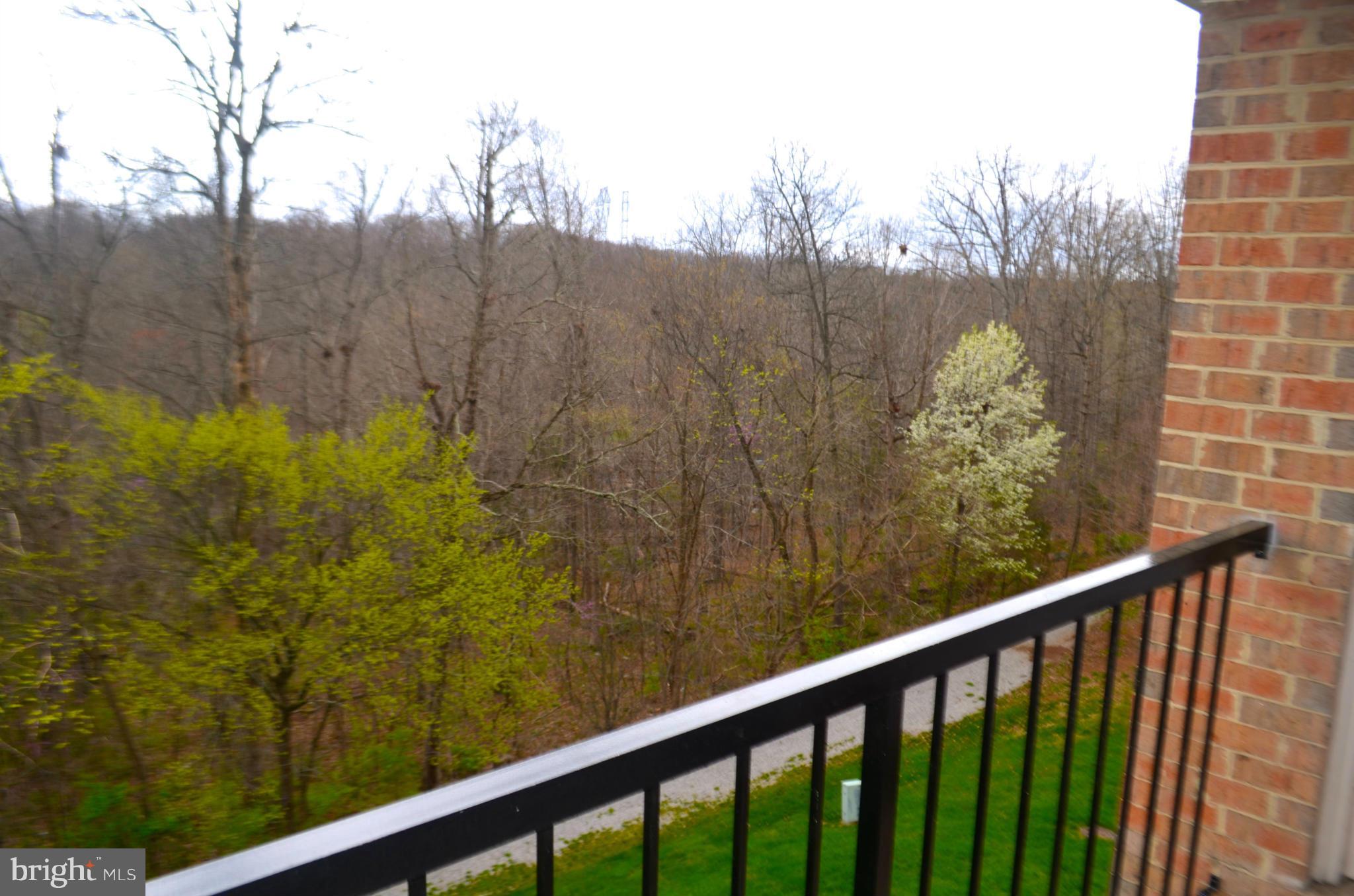 14905 Rydell Road, Unit 302 Centreville, VA 20121 - Photo 5 of 13 Exterior (Rear)