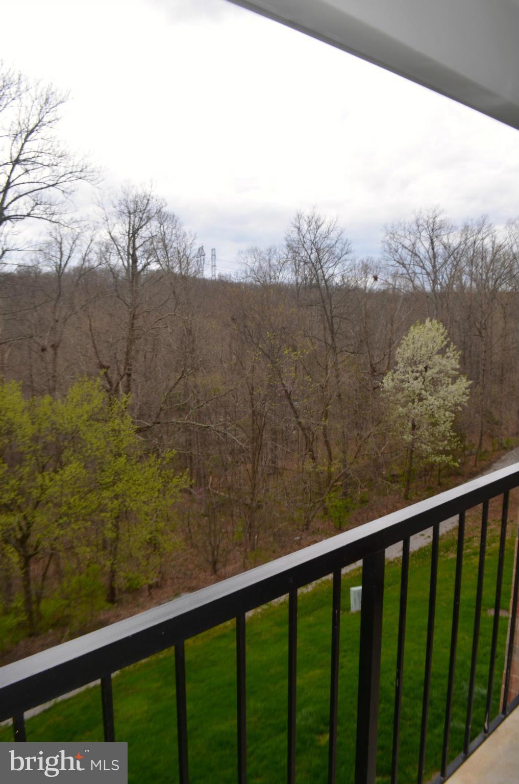 14905 Rydell Road, Unit 302 Centreville, VA 20121 - Photo 6 of 13 Exterior (Rear)