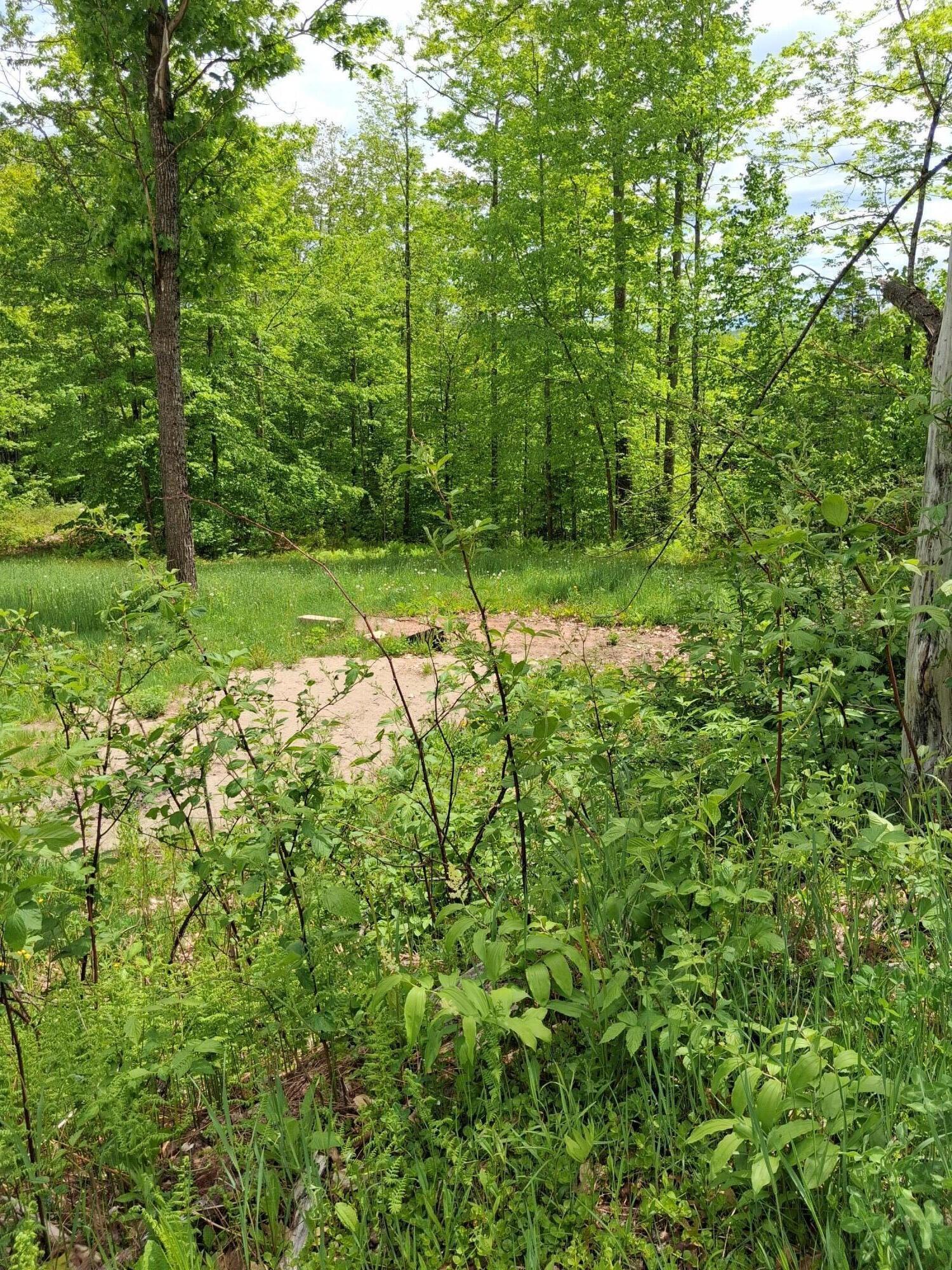 209 Adams Road Chesterville, ME 04938 - Photo 2 of 9 Land