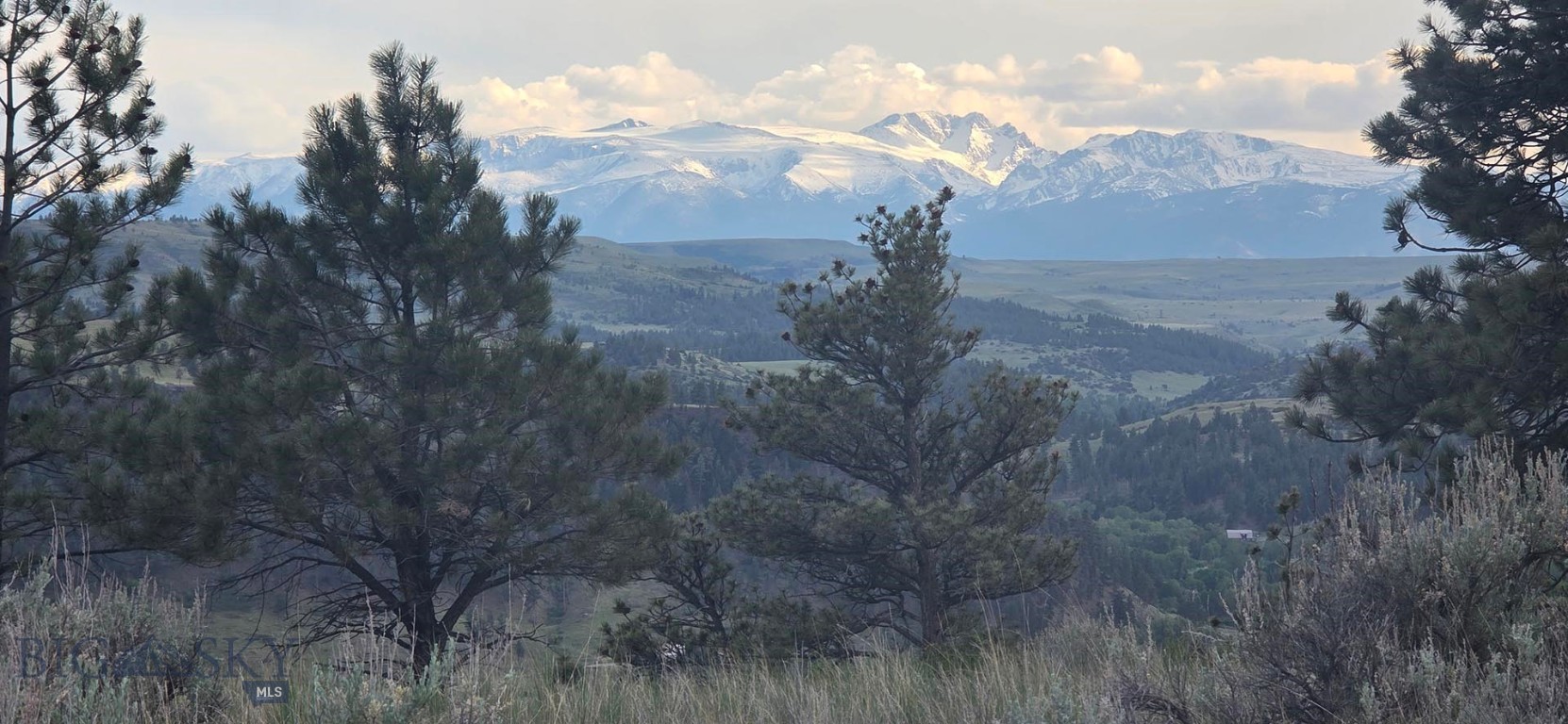 215 Shank Basin West Road Reed Point, MT 59069 - Photo 34 of 42 Gallery Image 34