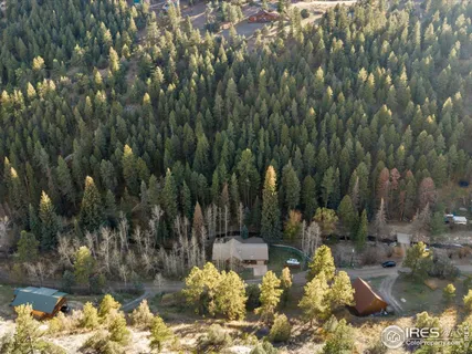 a view of a yard with large trees