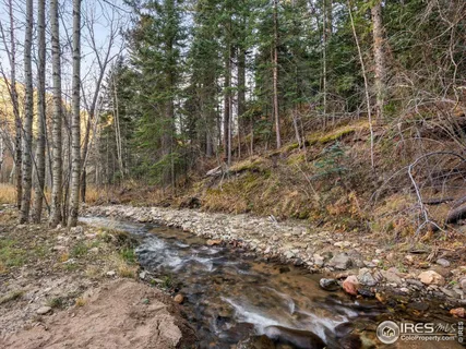a view of a forest with trees