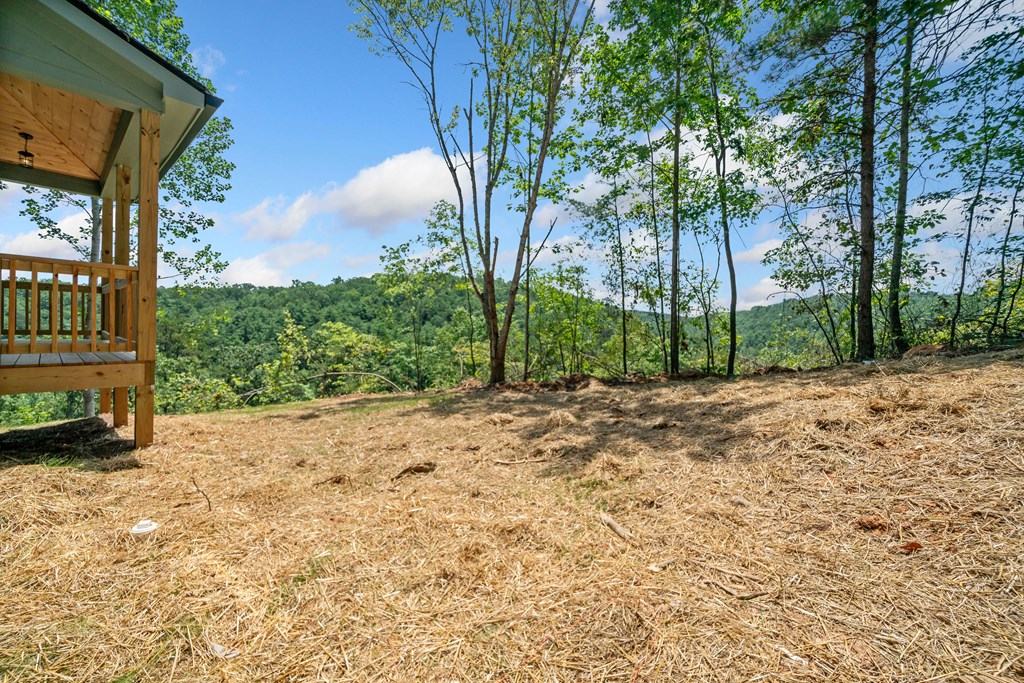 1374 Northeast Foxhound Ranger, GA 30734 - Photo 36 of 45 a view of a backyard with large trees