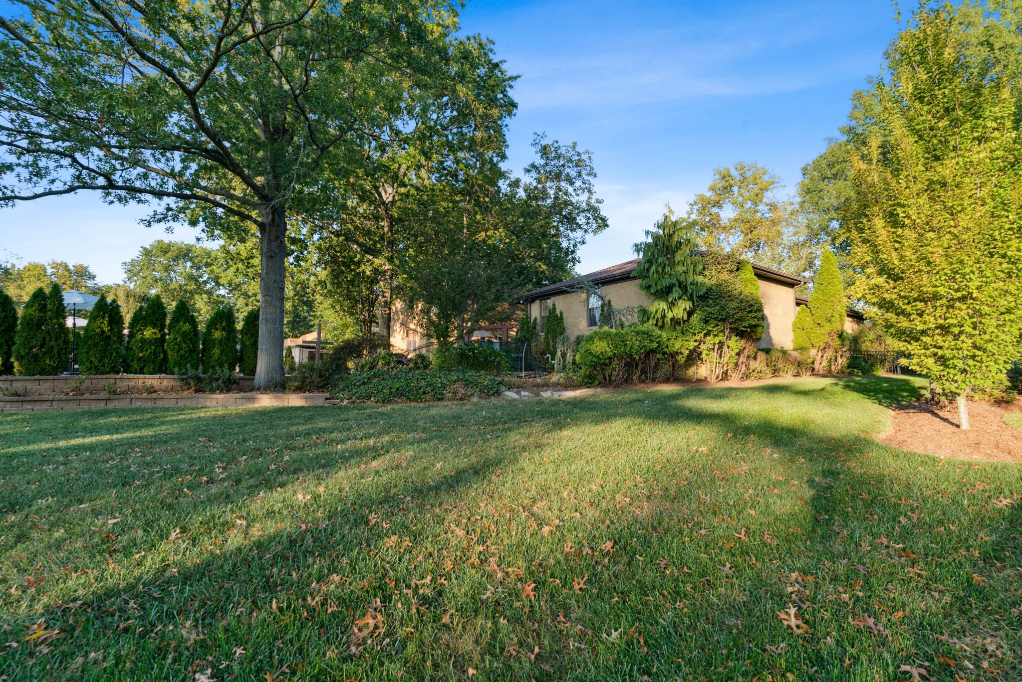 5224 Rustic Way Old Hickory, TN 37138 - Photo 50 of 56 a view of backyard of house with green space
