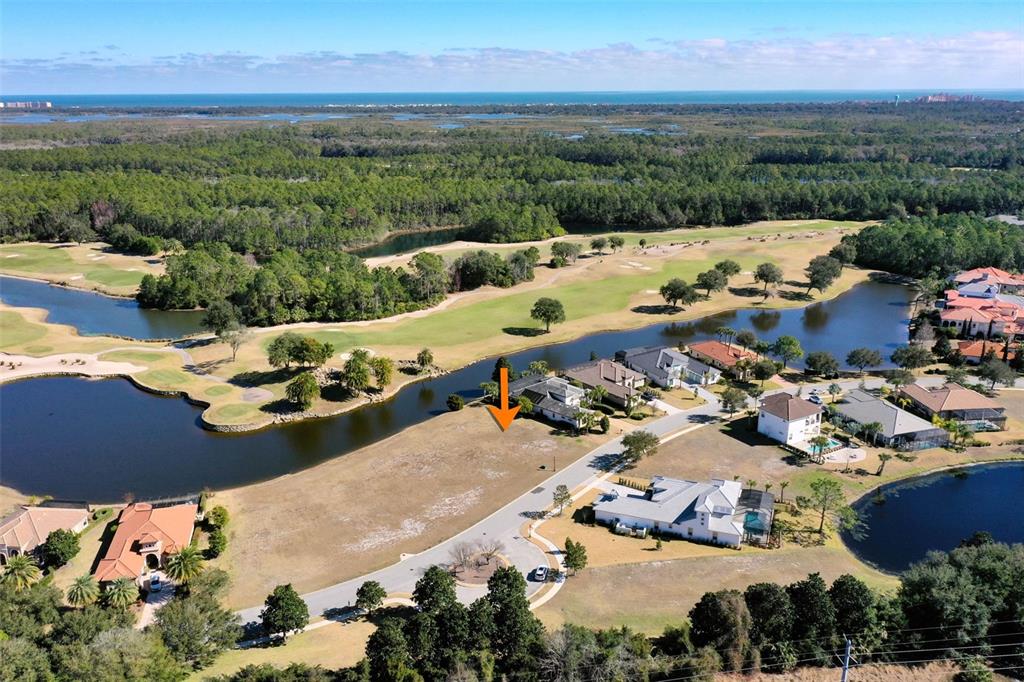 259 Conservatory Drive Palm Coast, FL 32137 - Photo 20 of 44