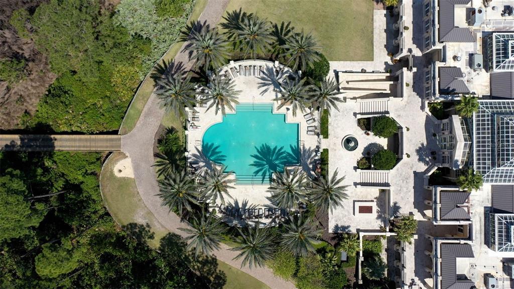 259 Conservatory Drive Palm Coast, FL 32137 - Photo 37 of 44