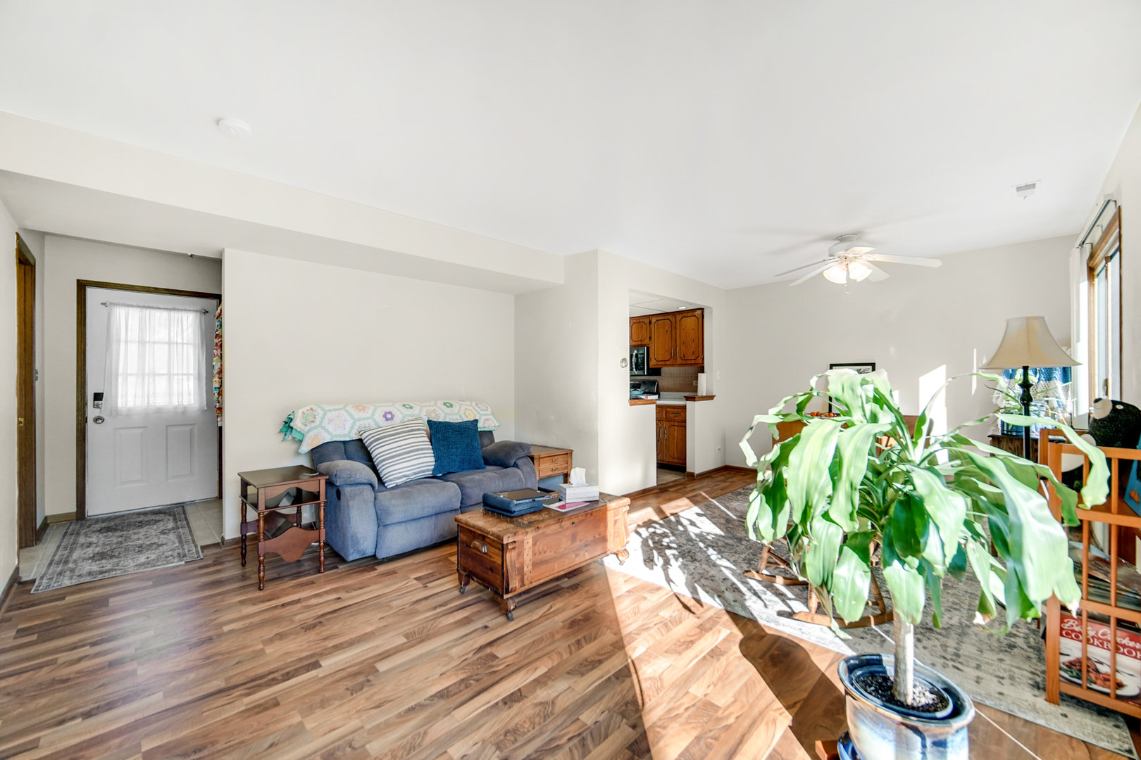19159 Weber Road Mokena, IL 60448 - Photo 6 of 22 a living room with furniture hard wood floor and a potted plant