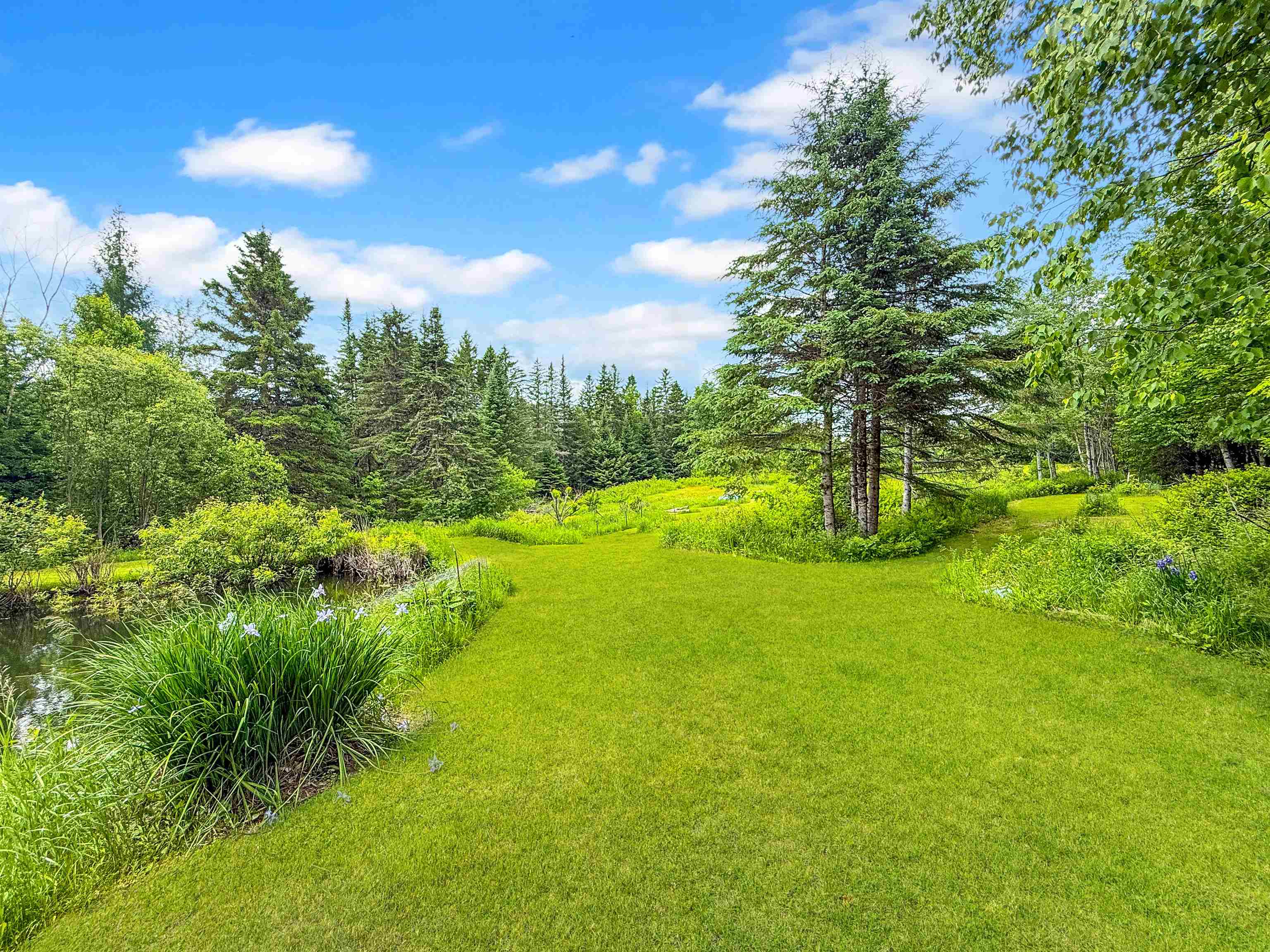 126 Gray Road Columbia, NH 03576 - Photo 59 of 59