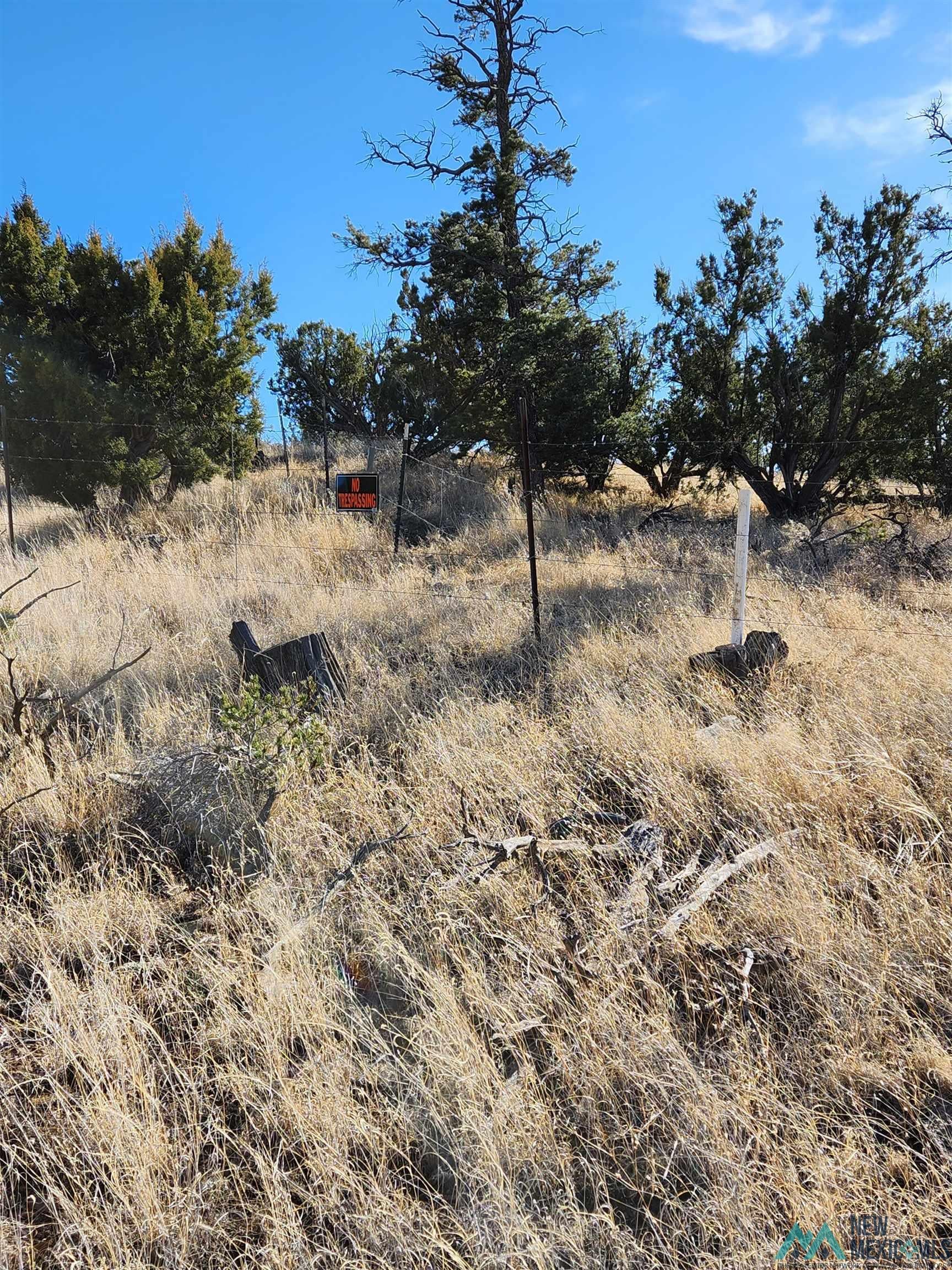 0 Tbd Nm 169 State Road Magdalena, NM 87825 - Photo 8 of 14
