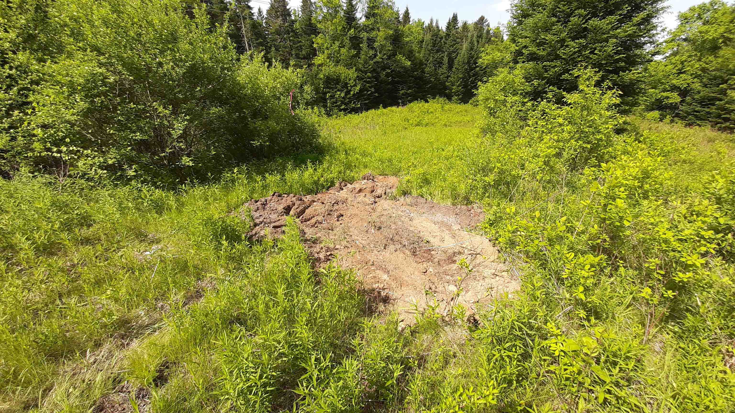 0 Summit Road Mount Holly, VT 05758 - Photo 20 of 37