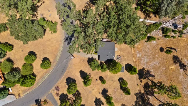 a picture of flowers