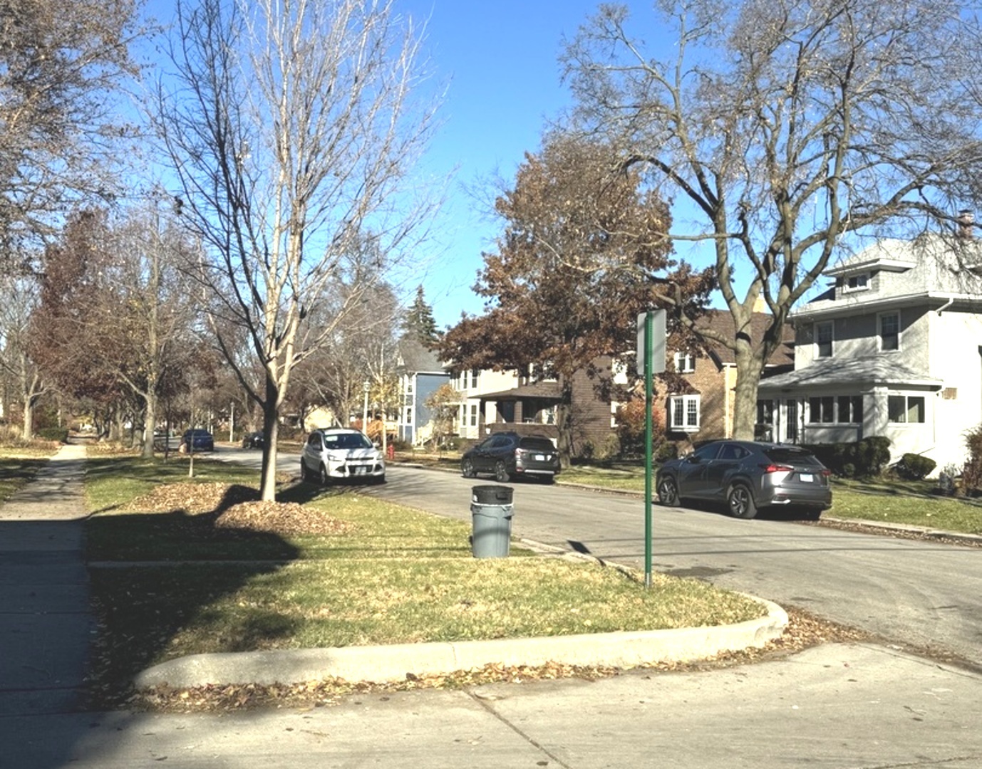 511 North Taylor Avenue, Unit 1F Oak Park, IL 60302 - Photo 5 of 14