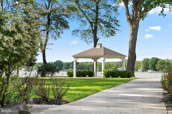 a view of a park with plants and a large tree
