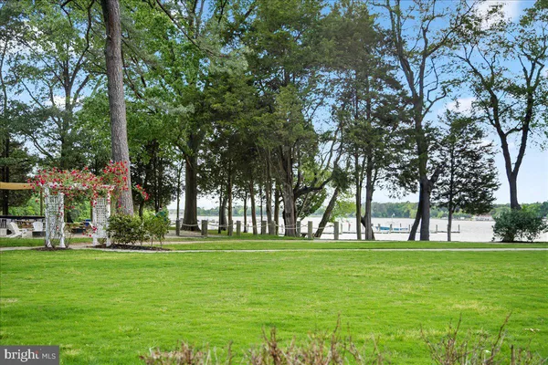 a view of a pathway both side of the yard