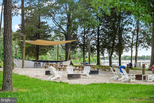 a view of a park with tree s