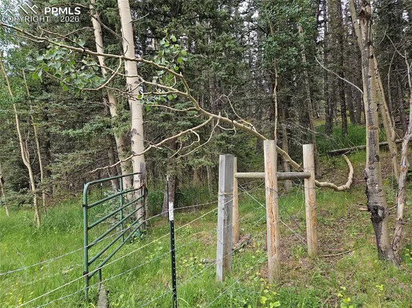 $125,000 | 702 Lake Drive West, Divide, CO 80814