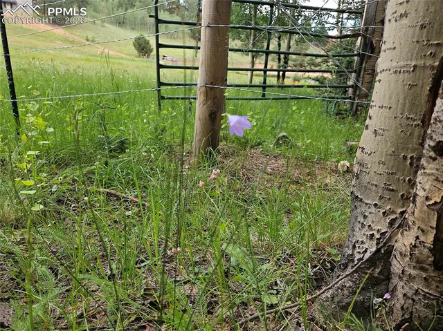 $125,000 | 702 Lake Drive West, Divide, CO 80814