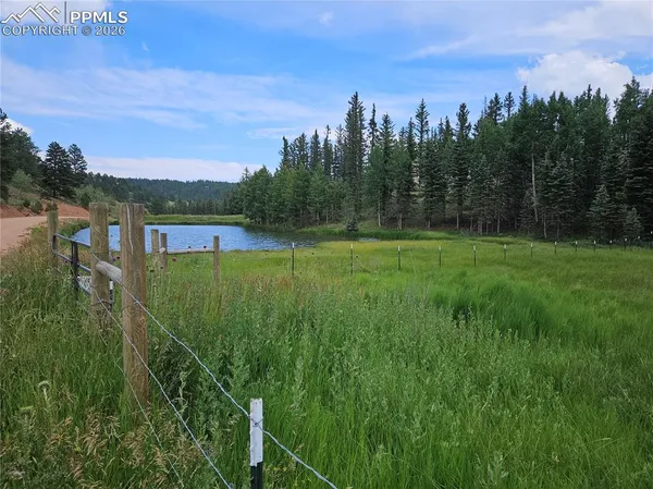 $125,000 | 702 Lake Drive West, Divide, CO 80814